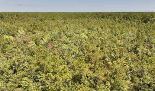 Photo #5 of SOLD property in Off George Road, Havelock, NC 10.4 acres