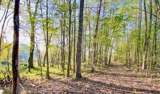 Photo #29 of SOLD property in 1094 Gardners Road, Mineral, VA 23.7 acres
