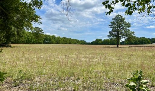 Photo #25 of Off S Caswell St, La Grange, NC 2.0 acres