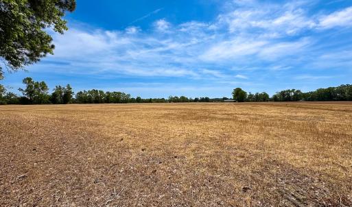 Photo #6 of Off West Rd, Chesapeake, VA 36.0 acres