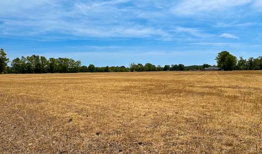 Photo #9 of Off West Rd, Chesapeake, VA 36.0 acres