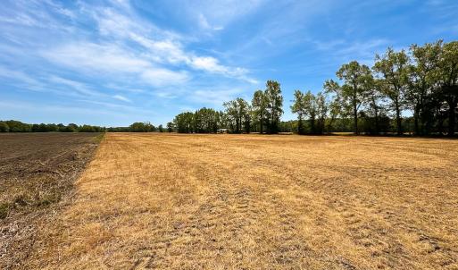 Photo #13 of Off West Rd, Chesapeake, VA 36.0 acres