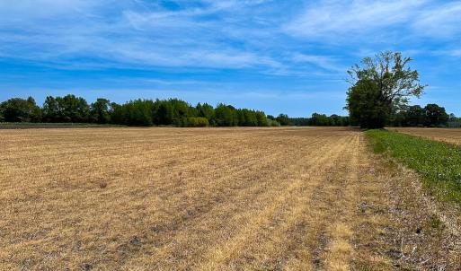 Photo #20 of Off West Rd, Chesapeake, VA 36.0 acres