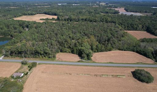 Photo #9 of Off Hollies Church Rd, Melfa, VA 95.7 acres