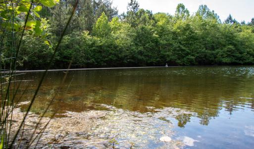Photo #14 of SOLD property in Off E Indian Caves Rd, Nathalie, VA 20.4 acres