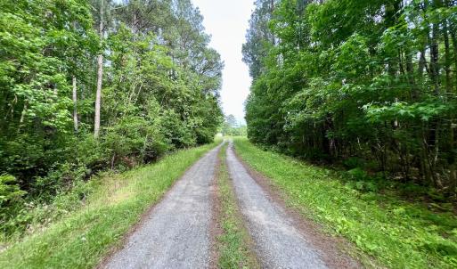 Photo #11 of 481 Nine Mile Rd, Maple Hill, NC 65.3 acres