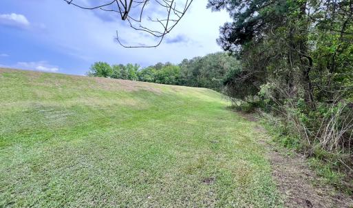 Photo #27 of 481 Nine Mile Rd, Maple Hill, NC 65.3 acres