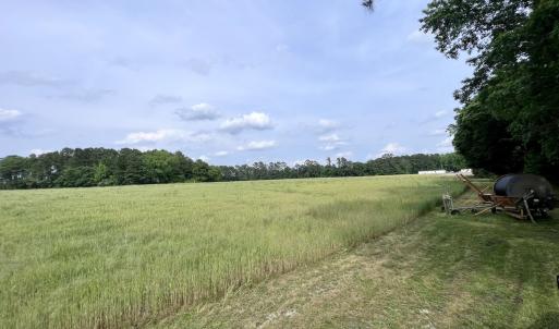 Photo #38 of 481 Nine Mile Rd, Maple Hill, NC 65.3 acres