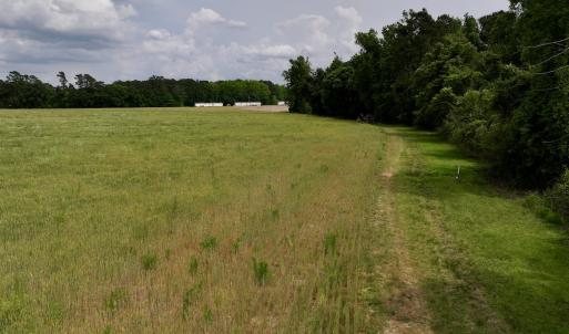 Photo #47 of 481 Nine Mile Rd, Maple Hill, NC 65.3 acres