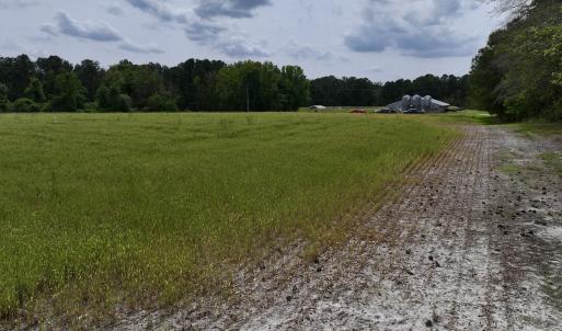 Photo #50 of 481 Nine Mile Rd, Maple Hill, NC 65.3 acres