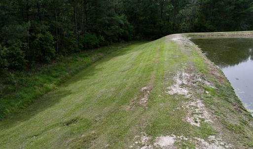 Photo #54 of 481 Nine Mile Rd, Maple Hill, NC 65.3 acres