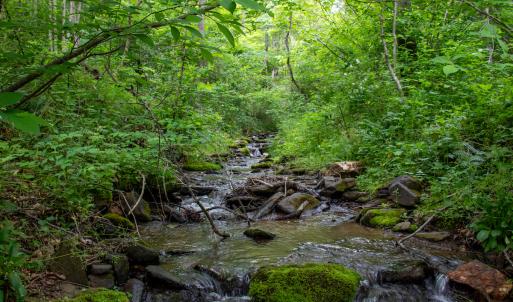 Photo #9 of Off Barton Spur Rd, Ferrum, VA 181.7 acres