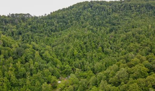 Photo #2 of Off Barton Spur Rd, Ferrum, VA 181.7 acres