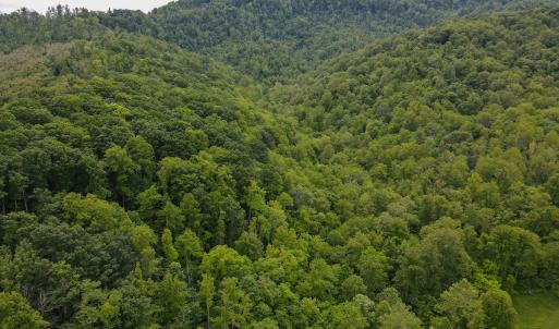 Photo #3 of Off Barton Spur Rd, Ferrum, VA 181.7 acres