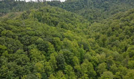 Photo #7 of Off Barton Spur Rd, Ferrum, VA 181.7 acres