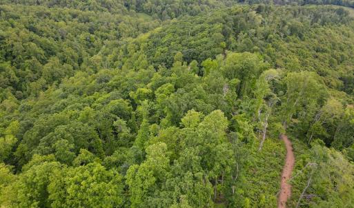 Photo #22 of Off Barton Spur Rd, Ferrum, VA 181.7 acres