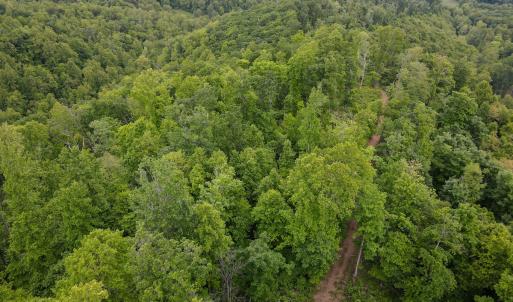 Photo #23 of Off Barton Spur Rd, Ferrum, VA 181.7 acres