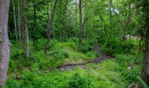 Photo #24 of Off Barton Spur Rd, Ferrum, VA 181.7 acres