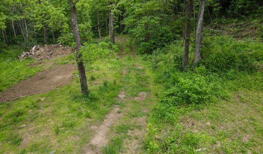 Photo #33 of Off Barton Spur Rd, Ferrum, VA 181.7 acres