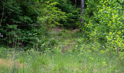 Photo #34 of Off Barton Spur Rd, Ferrum, VA 181.7 acres