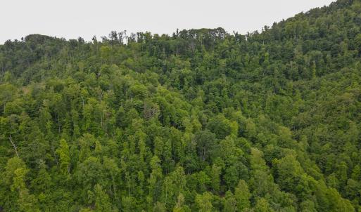 Photo #35 of Off Barton Spur Rd, Ferrum, VA 181.7 acres