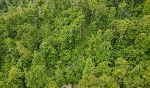 Photo #39 of Off Barton Spur Rd, Ferrum, VA 181.7 acres