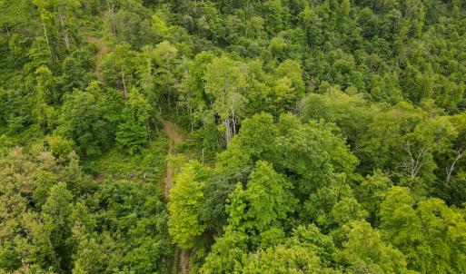 Photo #40 of Off Barton Spur Rd, Ferrum, VA 181.7 acres