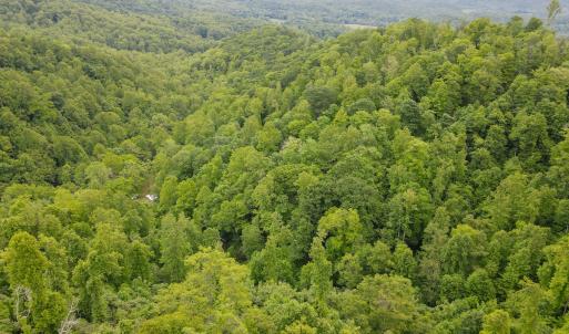 Photo #42 of Off Barton Spur Rd, Ferrum, VA 181.7 acres