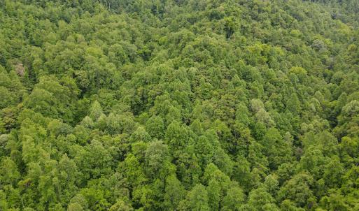 Photo #50 of Off Barton Spur Rd, Ferrum, VA 181.7 acres