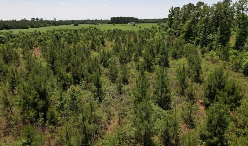 Photo #13 of Off Shannon Road, Shannon, NC 51.9 acres