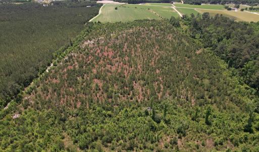 Photo #19 of Off Shannon Road, Shannon, NC 51.9 acres