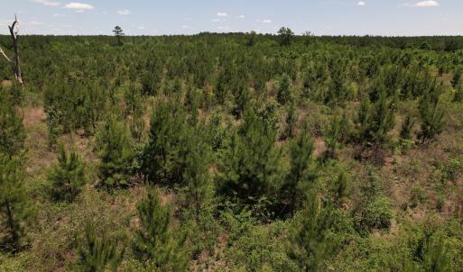 Photo #7 of Off Shannon Road, Shannon, NC 51.9 acres