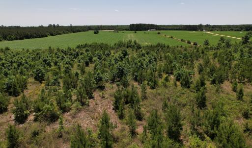 Photo #9 of Off Shannon Road, Shannon, NC 51.9 acres