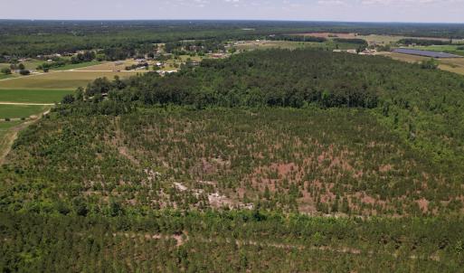 Photo #24 of Off Shannon Road, Shannon, NC 51.9 acres