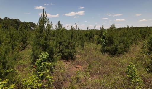 Photo #33 of Off Shannon Road, Shannon, NC 51.9 acres