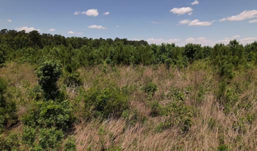 Photo #36 of Off Shannon Road, Shannon, NC 51.9 acres