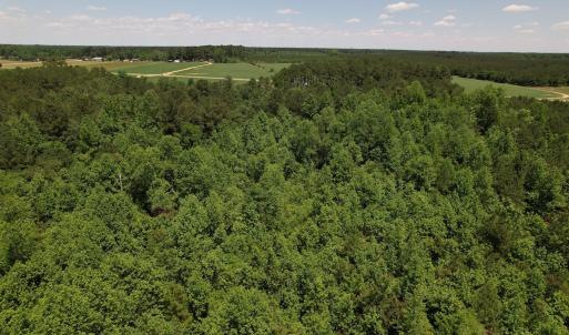 Photo #14 of Off Fodiesville Road, Shannon, NC 9.6 acres