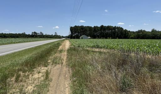 Photo #15 of Off Fodiesville Road, Shannon, NC 9.6 acres