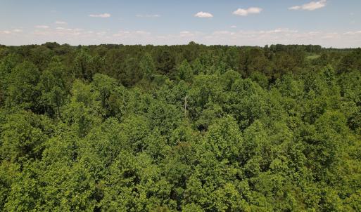 Photo #18 of Off Fodiesville Road, Shannon, NC 9.6 acres