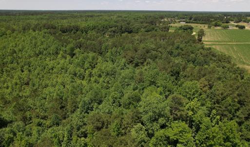 Photo #6 of Off Fodiesville Road, Shannon, NC 9.6 acres