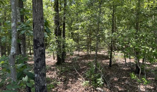 Photo #7 of Off Fodiesville Road, Shannon, NC 9.6 acres