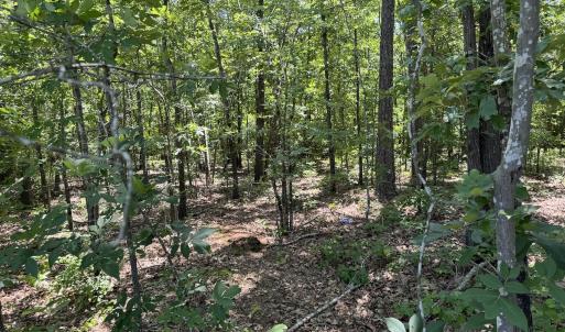 Photo #9 of Off Fodiesville Road, Shannon, NC 9.6 acres