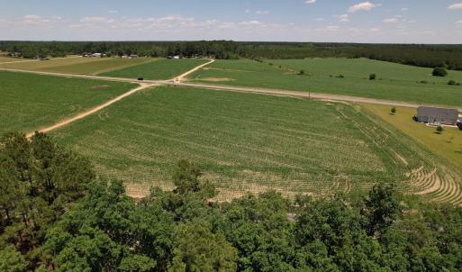 Photo #21 of Off Fodiesville Road, Shannon, NC 9.6 acres