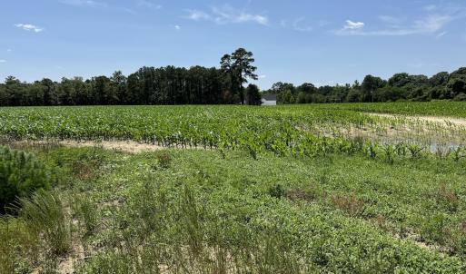 Photo #22 of Off Fodiesville Road, Shannon, NC 9.6 acres