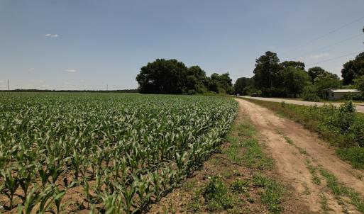 Photo #11 of Off Fodiesville Road, Shannon, NC 4.8 acres