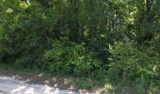 Photo #19 of Off Fodiesville Road, Shannon, NC 4.8 acres