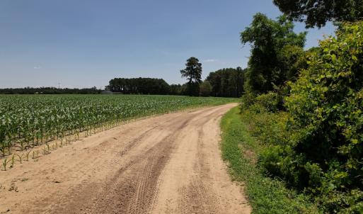 Photo #20 of Off Fodiesville Road, Shannon, NC 4.8 acres