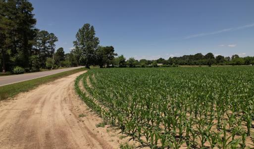 Photo #24 of Off Fodiesville Road, Shannon, NC 4.8 acres
