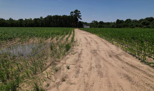 Photo #8 of Off Shannon Road, Shannon, NC 3.5 acres