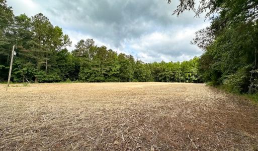 Photo #3 of 368 Greenbriar Rd, Walkerton, VA 9.5 acres